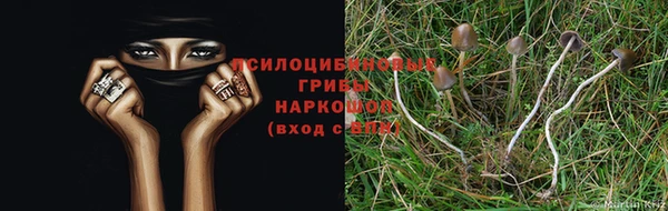 МДМА Абаза
