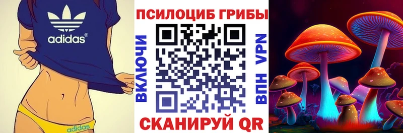 Галлюциногенные грибы прущие грибы  как найти наркотики  Нестеровская 